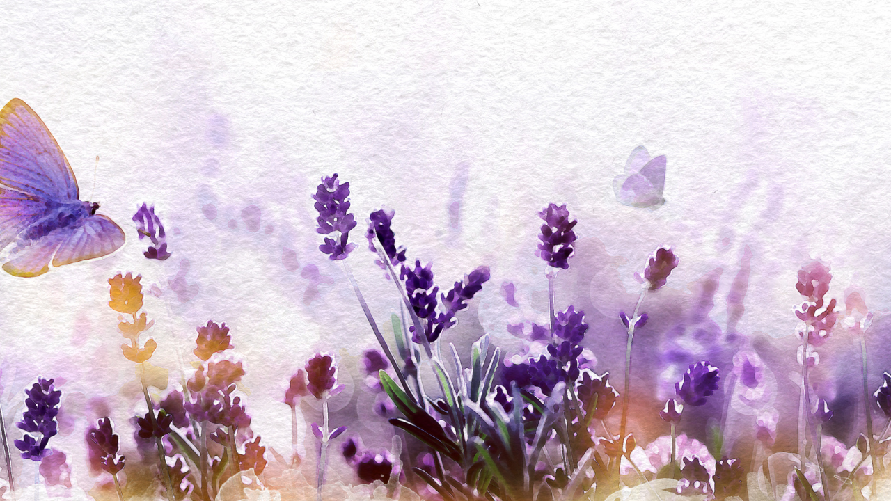 You Are the Church – Pt. II