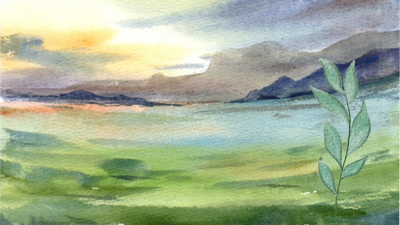 Governor of the Field